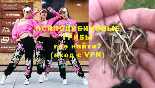 трава Балахна