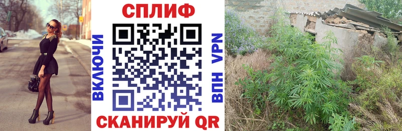 МАРИХУАНА SATIVA & INDICA  нарко площадка формула  Валуйки 